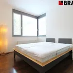 Rent 2 bedroom apartment of 58 m² in Brno