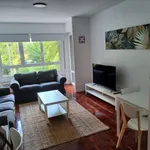 Rent a room of 120 m² in pamplona