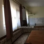 Rent 1 bedroom apartment in copou