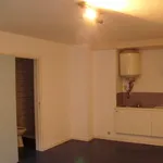 Rent 1 bedroom apartment in Ghent