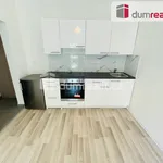 Rent 1 bedroom apartment in Praha 5