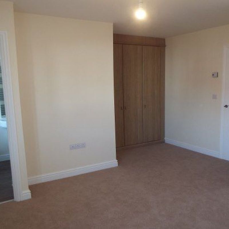 Property to rent in Herbert Close, Tonbridge TN11