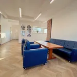 Rent 4 bedroom apartment in Plzeň