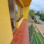 Rent 1 bedroom house of 150 m² in Uničov