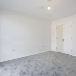 Rent 1 bedroom apartment in Belfast