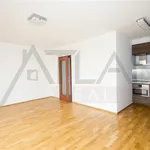 Pronajměte si 2 ložnic/e byt o rozloze 58 m² v Capital City of Prague