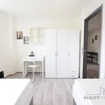 Rent 2 bedroom apartment of 33 m² in Brno