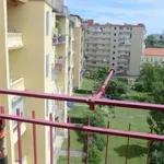 Rent 3 bedroom apartment of 82 m² in Graz