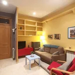 Rent 1 bedroom apartment of 42 m² in madrid