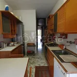 Rent 4 bedroom apartment of 100 m² in Lodi