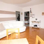 Rent 4 bedroom apartment of 80 m² in Livorno