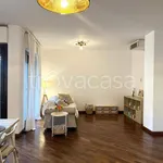 Rent 3 bedroom apartment of 80 m² in Cagliari