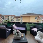 Rent 1 bedroom apartment of 20 m² in Bra