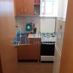 Rent 1 bedroom apartment in Lovnic