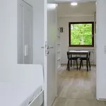 Rent a room of 90 m² in dusseldorf