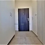 Rent 1 bedroom apartment of 19 m² in Brno