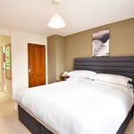 Rent 4 bedroom house in Yorkshire And The Humber