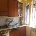 Rent 4 bedroom apartment of 85 m² in Pisa