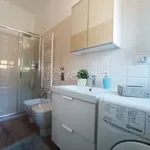 Rent 1 bedroom apartment of 30 m² in Milano