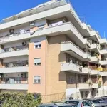 Rent 3 bedroom apartment of 113 m² in Rome