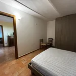 Rent 2 bedroom apartment of 45 m² in Trevi