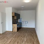 Pronajměte si 2 ložnic/e byt o rozloze 49 m² v Karlovy Vary