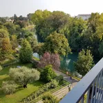 Rent 2 bedroom apartment of 92 m² in treviso