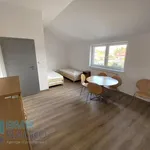 Mieszkanie 150 m² z kuchnią z oknem na wynajem Kałęczyn