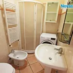 Rent 1 bedroom apartment of 35 m² in Novara