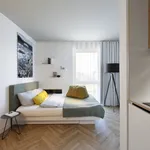 Rent 1 bedroom apartment of 20 m² in Munich