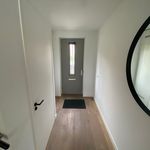 Rent 4 bedroom house of 125 m² in Verspreide huizen Boord, Opwetten