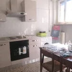 Rent 5 bedroom apartment of 120 m² in Modena