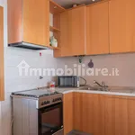 Rent 3 bedroom apartment of 60 m² in Venice