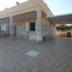 Rent 2 bedroom house of 100 m² in Pachino