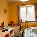 Rent 1 bedroom flat in Norwich