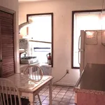 Rent 3 bedroom apartment in Jersey City