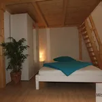 Miete 1 Schlafzimmer wohnung von 55 m² in Nuremberg