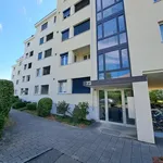 Rent 3 bedroom apartment in Dübendorf