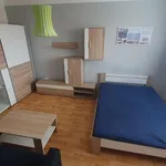 Rent 1 bedroom apartment in Ústí nad Labem