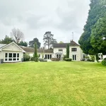 Rent 6 bedroom house in East Of England