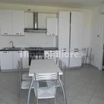 Rent 2 bedroom apartment of 60 m² in Ravenna