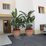 Rent 2 bedroom apartment of 73 m² in Palermo