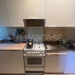 Rent 4 bedroom apartment of 100 m² in Bologna