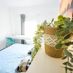 Rent 4 bedroom apartment in Valencia