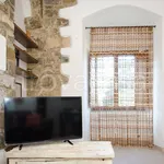 Rent 1 bedroom apartment of 38 m² in Firenze