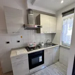 Rent 1 bedroom apartment in Rome