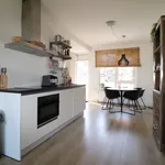 Rent 2 bedroom apartment of 70 m² in Rotterdam