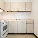  appartement avec 1 chambre(s) en location à Montreal