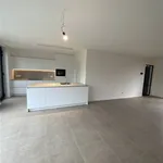 Huur 3 slaapkamer huis van 459 m² in BREE