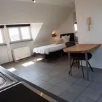 Rent 1 bedroom apartment in Brussels